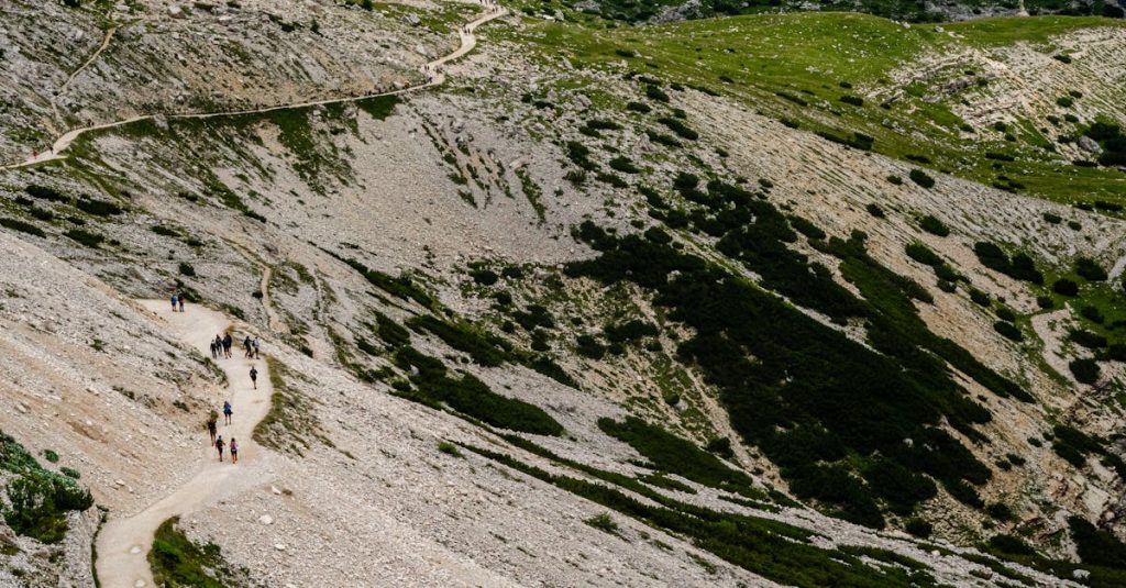 découvrez jarry highlands, un quartier vibrant et dynamique offrant une multitude d'activités, de commerces et de lieux de détente. profitez d'une atmosphère conviviale et d'un cadre de vie agréable, idéal pour les familles et les jeunes professionnels.