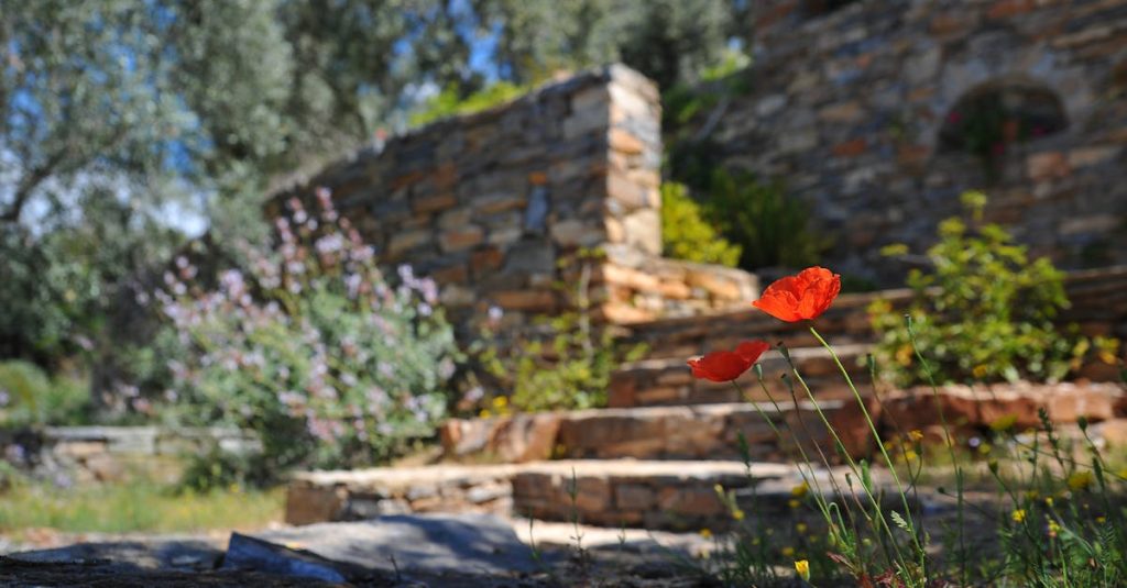 découvrez l'art de l'aménagement paysager pour transformer votre espace extérieur en un véritable havre de paix. explorez des idées de design créatives, des conseils d'entretien et des inspirations pour embellir votre jardin ou votre cour. faites de votre environnement un lieu de vie harmonieux et accueillant.