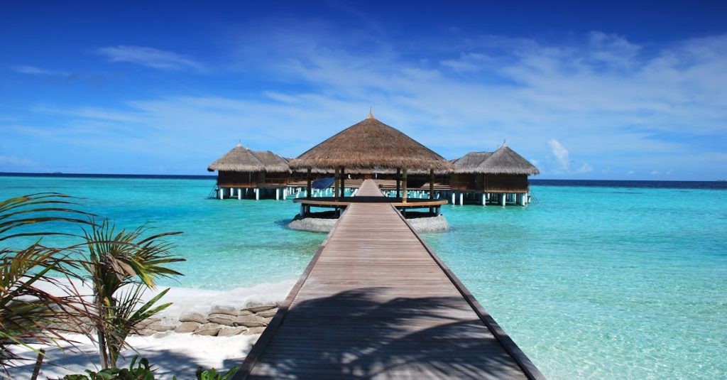 découvrez nos conseils et astuces pour des vacances inoubliables, que ce soit pour une escapade en famille, un voyage romantique ou une aventure en solo. plages, montagnes, découvertes culturelles : trouvez votre prochaine destination de rêve !