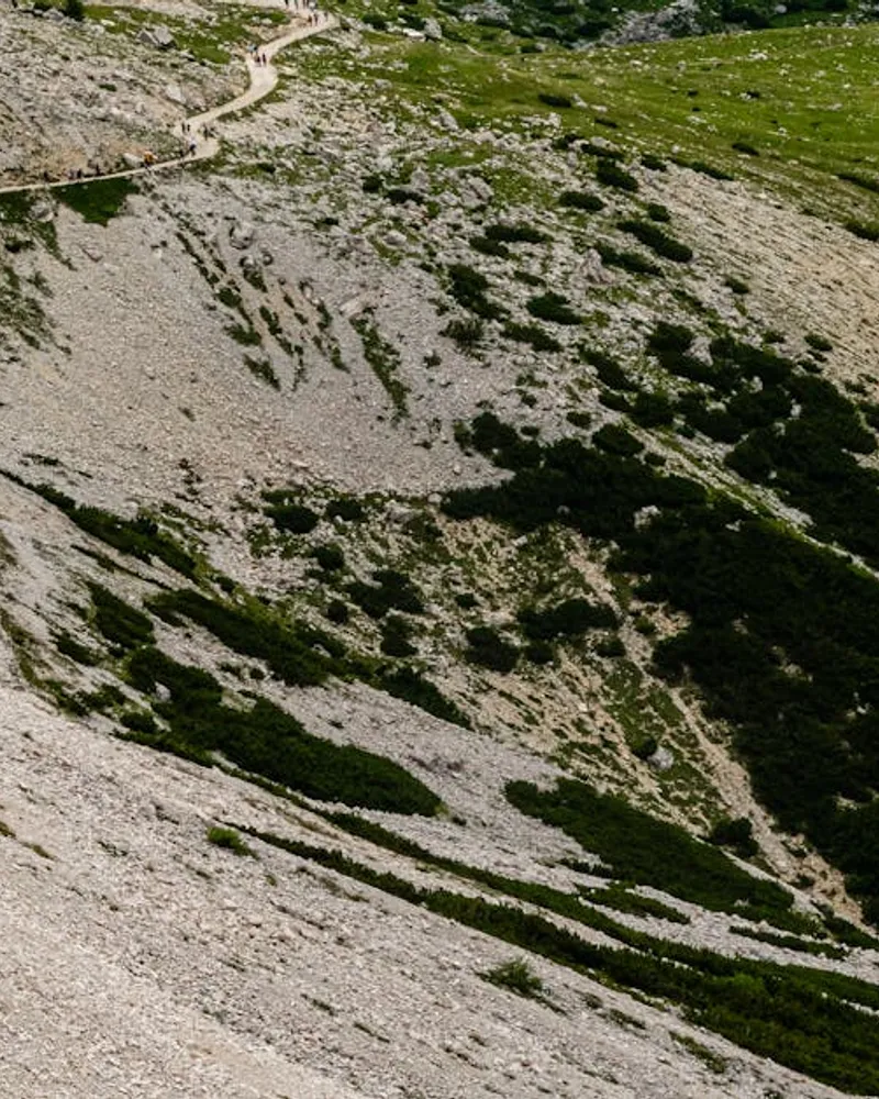 Hautes terres de Jarry : atouts et développement potentiel