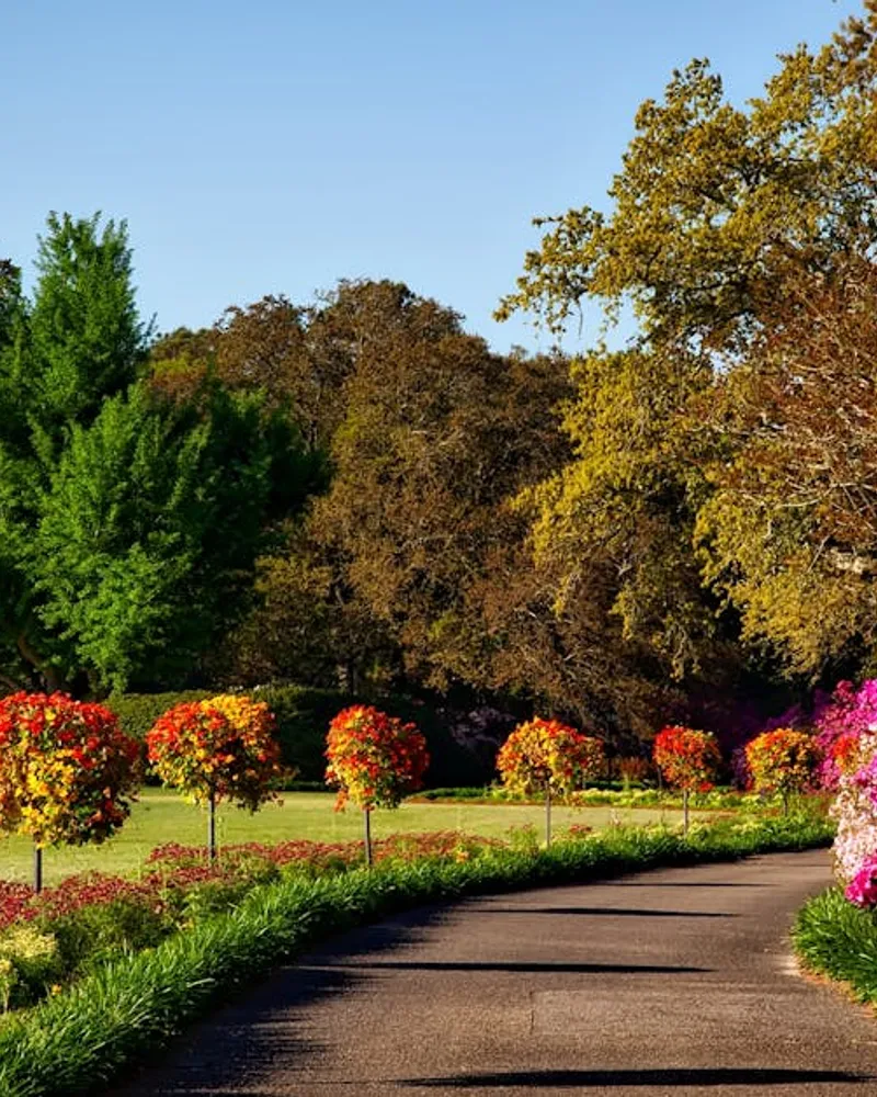 Jardin à Vieux-Fort : aménagez votre espace extérieur