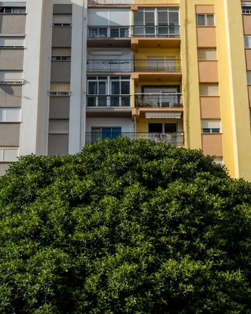 Taxes immobilières à Jarry : ce que vous devez savoir