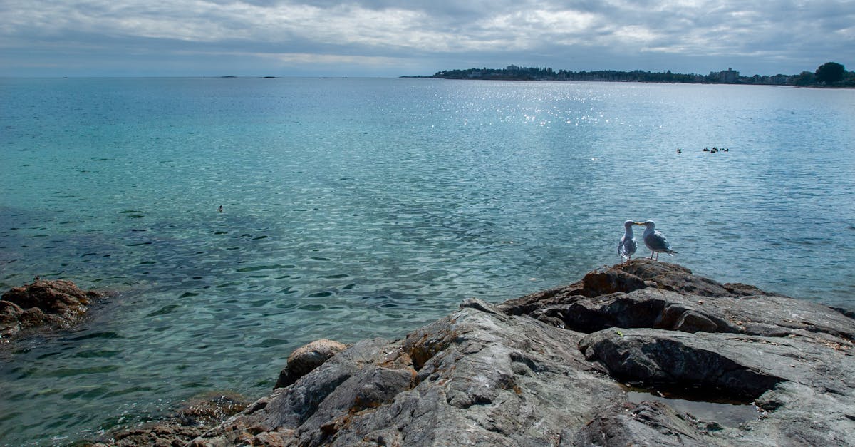 découvrez des propriétés en bord de mer exceptionnelles, offrant une vue imprenable sur l'océan, un accès direct à la plage et un cadre de vie idyllique. investissez dans votre rêve d'une maison en front de mer et savourez chaque jour la beauté des vagues et le doux bruit des flots.