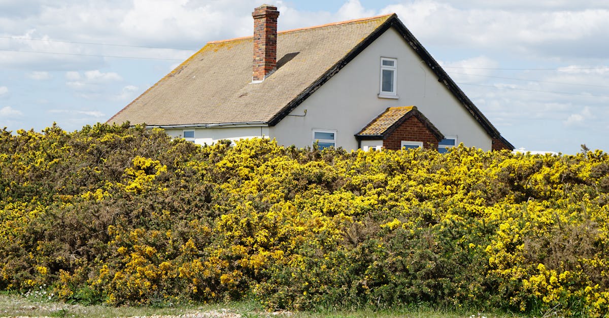 découvrez notre charmante maison de vacances, un refuge idéal pour vos escapades. profitez d'un cadre paisible, d'un confort moderne et d'activités variées pour toute la famille. réservez dès maintenant pour des souvenirs inoubliables!
