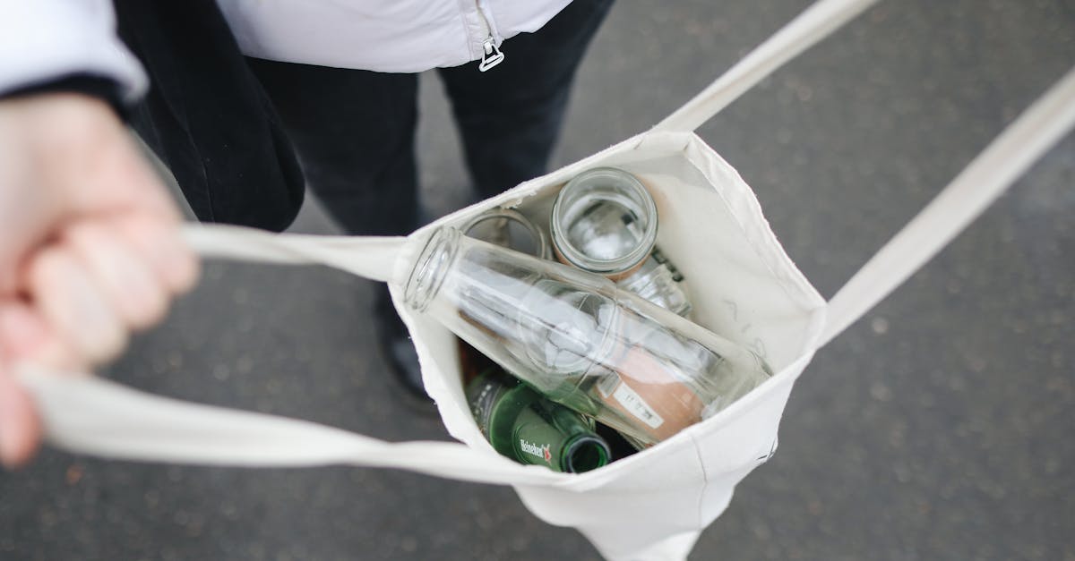 découvrez l'importance de la durabilité dans notre monde moderne. apprenez comment des pratiques durables peuvent améliorer notre environnement et favoriser un avenir plus vert pour les générations futures.