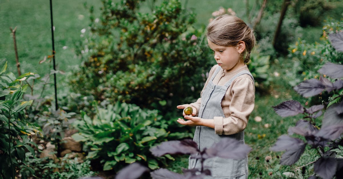 découvrez notre jardin relaxant, un espace apaisant où la nature rencontre le bien-être. profitez d'une atmosphère sereine, entourée de plantes luxuriantes et de mélodies apaisantes pour un moment de détente inoubliable.