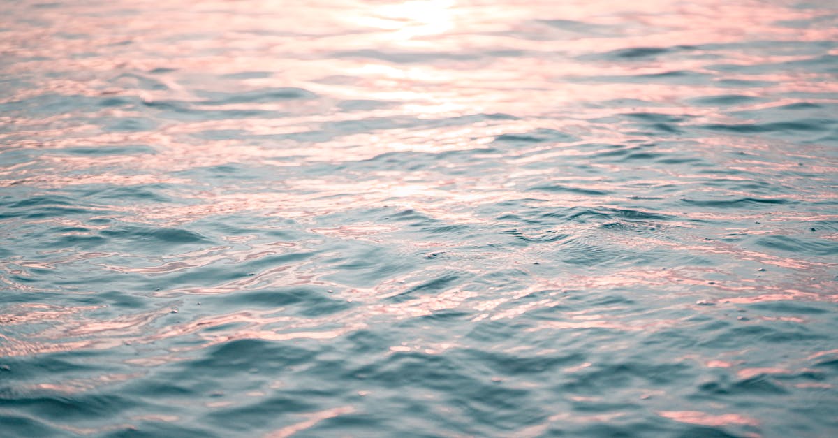 découvrez la beauté enchanteresse des lagons, véritables bijoux de la nature où l'eau turquoise rencontre le sable blanc. explorez des paysages idylliques, plongez dans des eaux cristallines et vivez des moments inoubliables au cœur de ces paradis tropicaux.