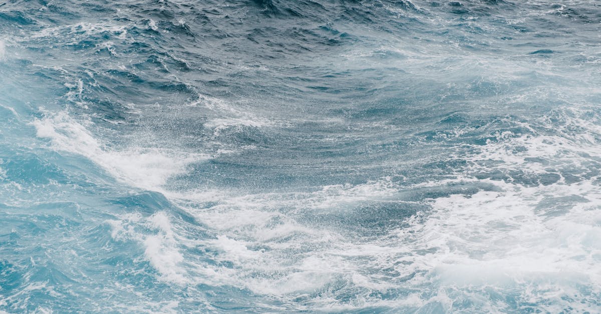 découvrez les opportunités d'investissement côtier, un secteur en pleine croissance offrant des rendements attractifs et un cadre de vie exceptionnel. explorez les tendances du marché, les projets émergents et les conseils d'experts pour maximiser votre investissement sur les rivages.