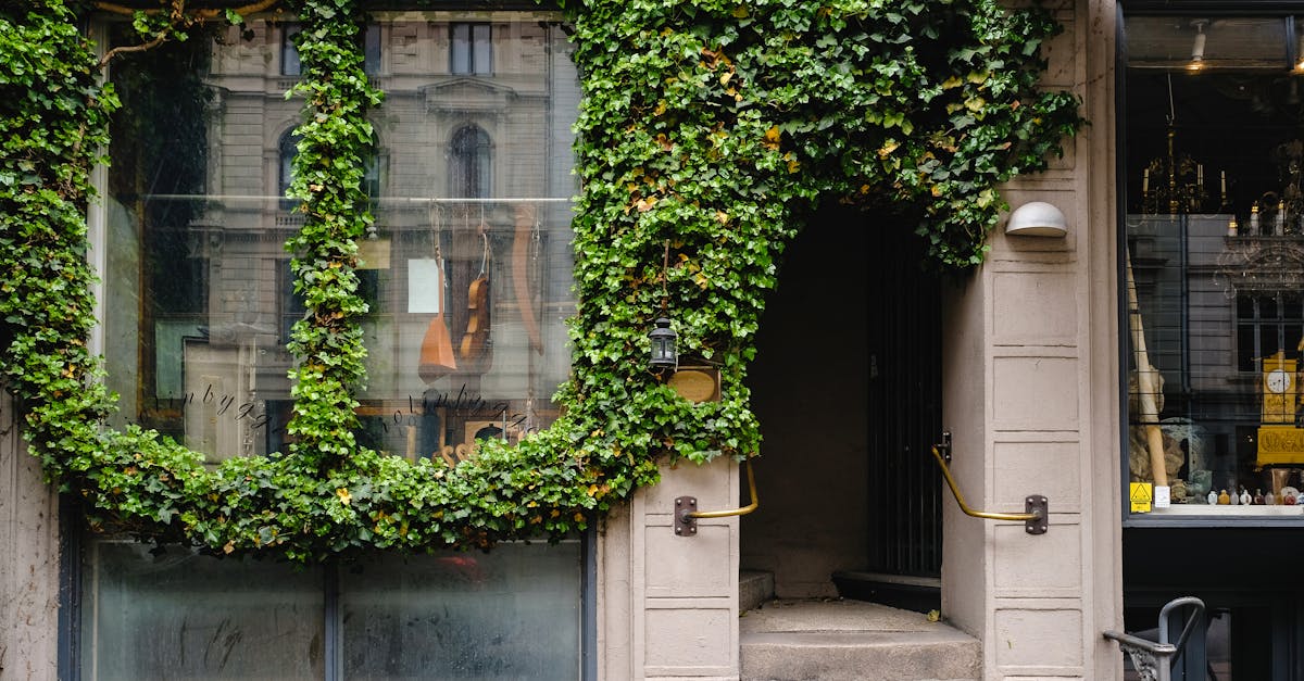 découvrez l'architecture durable, un concept innovant qui allie design, écologie et respect de l'environnement. explorez des solutions architecturales qui minimisent l'impact écologique tout en créant des espaces esthétiques et fonctionnels.