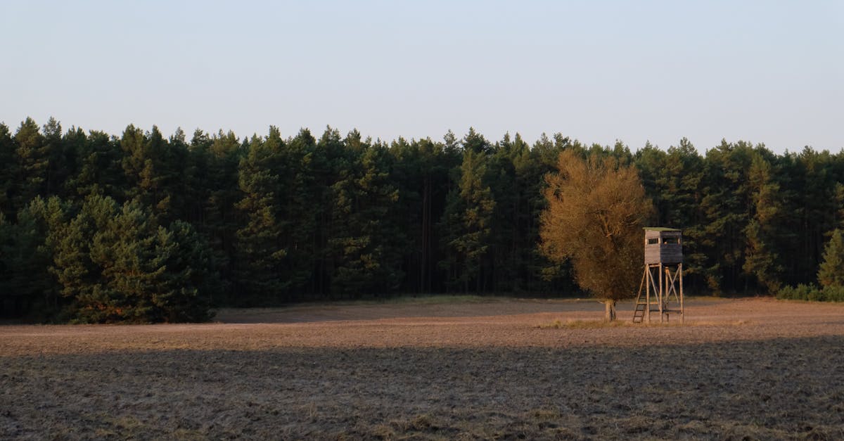 découvrez des terrains à vendre dans des emplacements privilégiés. que vous cherchiez un terrain pour construire votre maison de rêve ou un investissement, nos options variées répondront à vos besoins. profitez d'opportunités uniques et explorez nos offres dès maintenant !