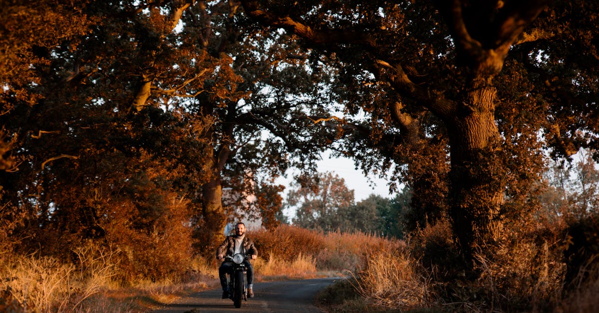 découvrez nos options de location de saison pour des vacances inoubliables. que vous recherchiez un chalet en montagne, une villa en bord de mer ou un appartement en ville, trouvez le logement idéal pour votre séjour à des prix compétitifs.