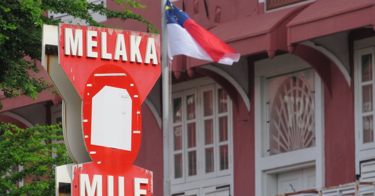 découvrez l'importance de l'héritage culturel et familial, et comment il façonne notre identité. plongez dans les richesses de notre passé pour mieux comprendre notre présent.