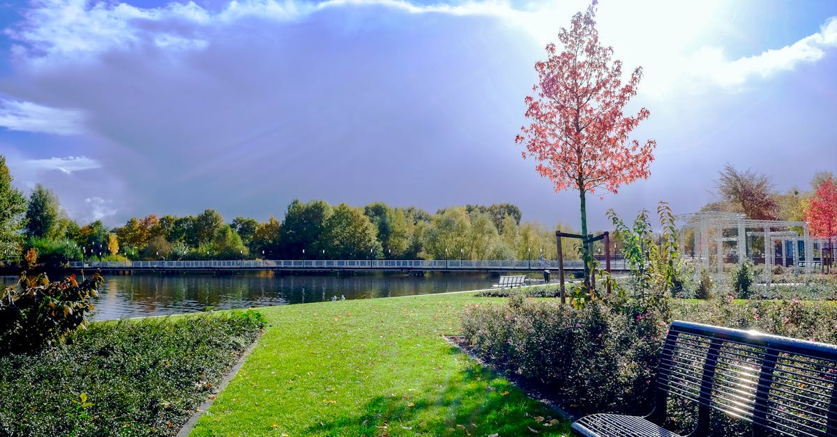 découvrez l'art du paysagisme : transformez votre espace extérieur en un havre de paix avec des plantes, des aménagements et des designs inspirants. obtenez des conseils d'experts pour créer des jardins métamorphosés et harmonieux.