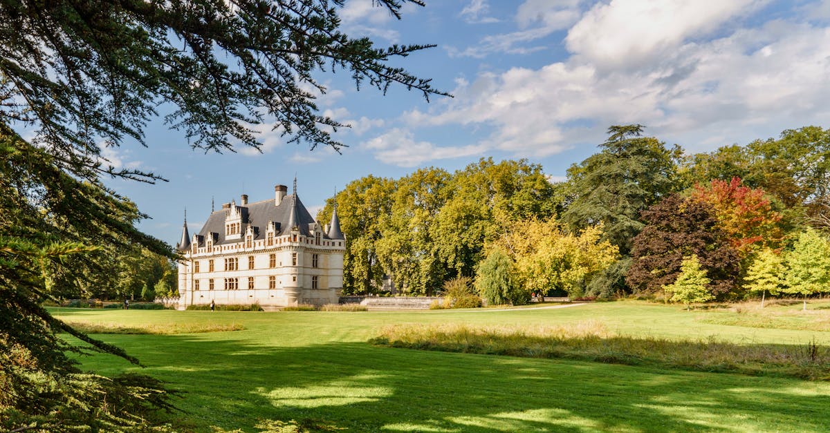 découvrez l'architecture créole, un style unique et authentique qui allie influences coloniales, locales et métissées. plongez dans l'univers visuel des maisons colorées, des détails architecturaux riches et des matériaux naturels qui racontent l'histoire des îles. explorez comment cette esthétique reflète la culture et le patrimoine créole, tout en s'adaptant aux climats tropicaux.