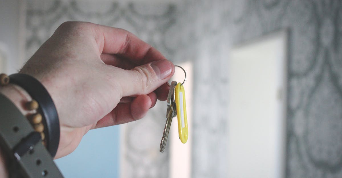 découvrez nos offres de biens immobiliers en location, idéales pour trouver votre nouveau chez-vous. que ce soit un appartement cosy ou une maison spacieuse, profitez de conseils d'experts et d'investissements rentables dans le secteur locatif.