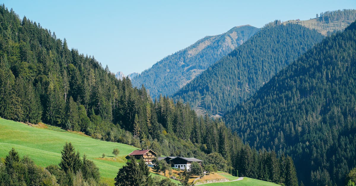 découvrez un monde idyllique où la beauté naturelle et la sérénité se rencontrent. explorez des paysages enchanteurs, vivez des moments de paix et sentez-vous transporté dans un havre de tranquillité.