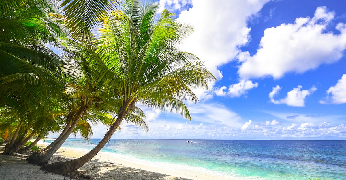 découvrez les plus belles plages du monde, idéales pour la détente, les activités nautiques et les moments en famille. profitez du soleil, du sable fin et des eaux cristallines pour des vacances inoubliables.