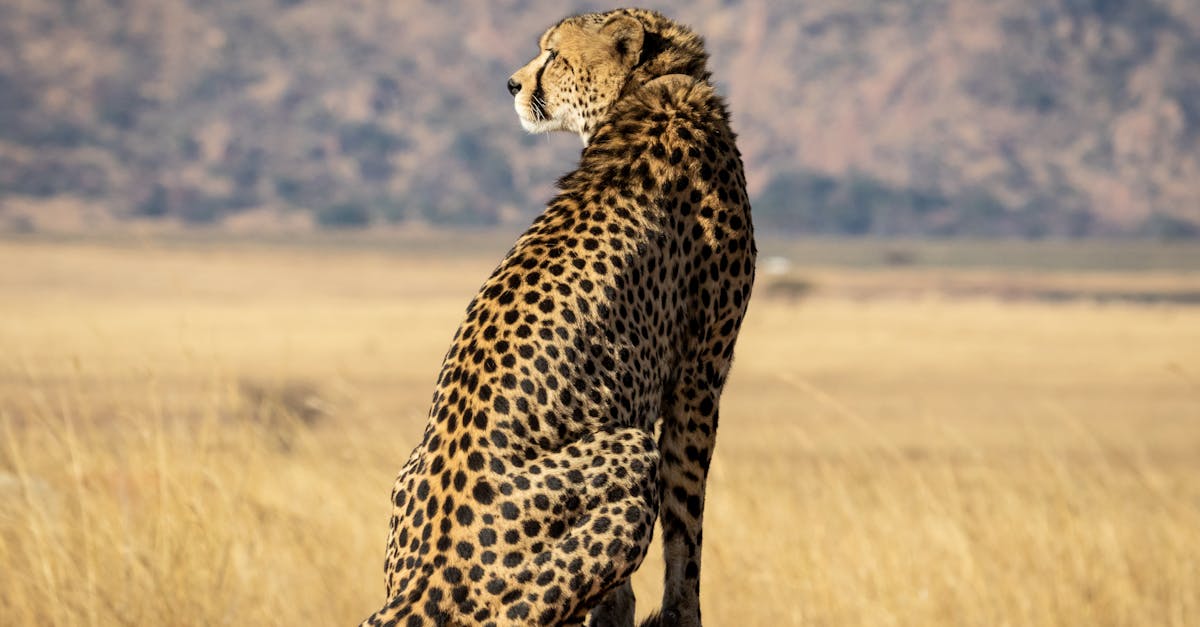 découvrez les réglementations essentielles qui gouvernent différents secteurs. informez-vous sur les lois, normes et directives en vigueur pour garantir la conformité et la sécurité dans vos activités.