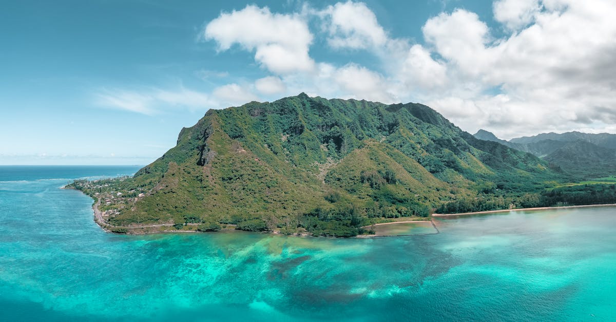 découvrez notre oasis tropicale, un havre de paix enveloppé par la nature luxuriante où détente et aventure se rencontrent. profitez de plages de sable fin, d'une faune colorée et d'une atmosphère paradisiaque pour des vacances inoubliables.