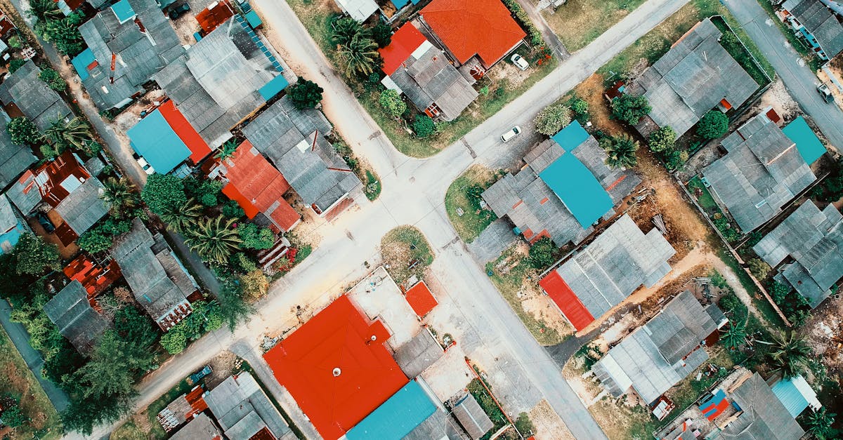 découvrez les principes du développement durable, une approche qui vise à concilier la croissance économique, la préservation de l'environnement et le bien-être social. apprenez comment adopter des pratiques durables pour un avenir écologiquement responsable.