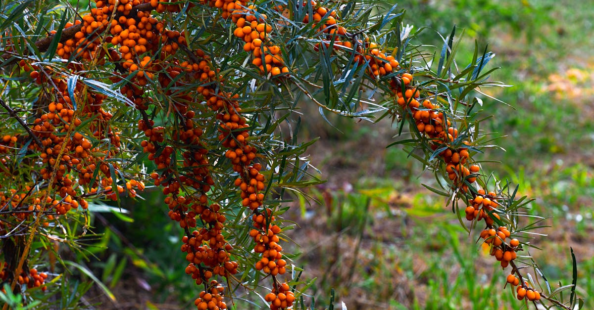découvrez nos locations saisonnières idéales pour vos vacances. profitez de confort et de commodité dans des destinations prisées, que ce soit pour une escapade romantique, des vacances en famille ou une aventure entre amis. réservez votre séjour dès maintenant et vivez des moments inoubliables.