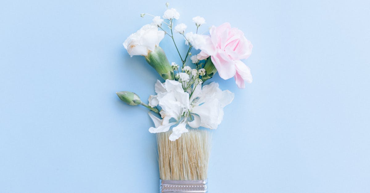 découvrez sainte-rose, une charmante ville de la guadeloupe, connue pour ses plages idylliques, sa nature préservée et son riche patrimoine culturel. explorez ses sentiers de randonnée, profitez des paysages pittoresques et immergez-vous dans une ambiance créole authentique.