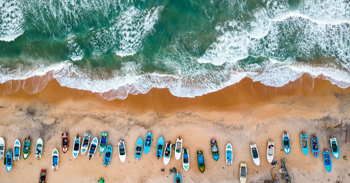 découvrez le monde fascinant du tourisme : explorez des destinations uniques, plongez dans des cultures enrichissantes et profitez d'expériences inoubliables qui éveilleront vos sens.