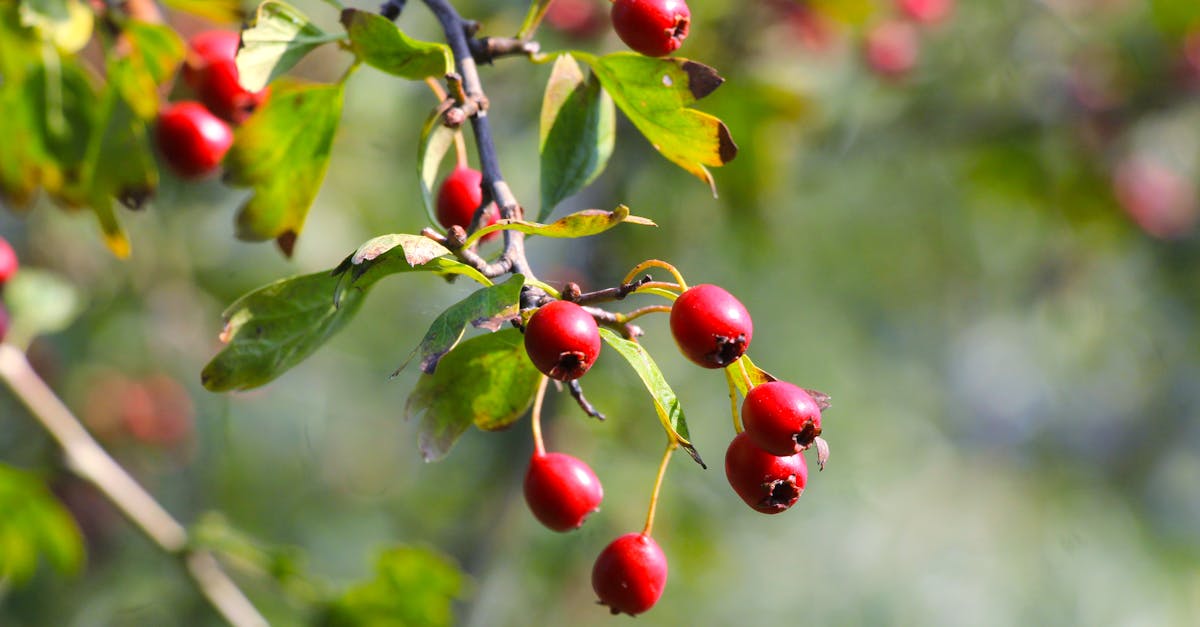 découvrez nos locations saisonnières qui vous offrent le confort de chez vous tout en explorant de nouvelles destinations. profitez de séjours inoubliables dans des hébergements uniques, idéaux pour des vacances en famille ou entre amis.