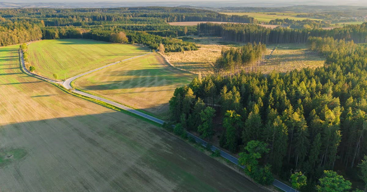 découvrez des terrains à vendre idéaux pour vos projets immobiliers ou vos rêves d'évasion. explorez nos offres variées et trouvez l'emplacement parfait pour construire votre avenir.