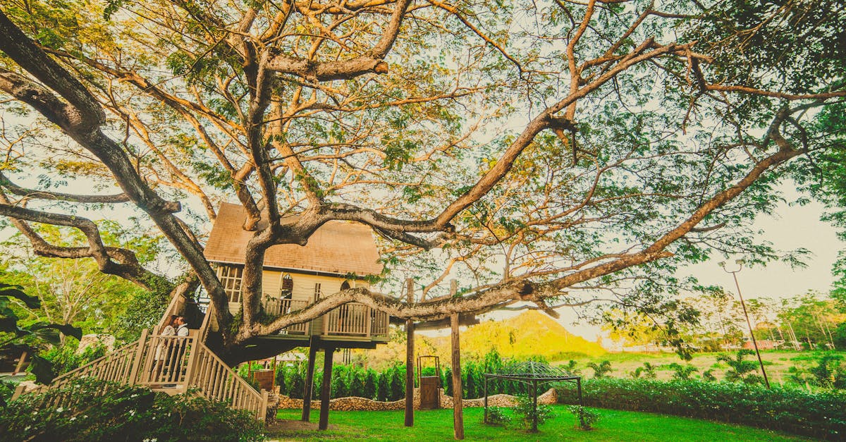 découvrez l'architecture des caraïbes, un mélange captivant de styles coloniaux, de couleurs vibrantes et de matériaux locaux, reflétant la riche histoire et la culture unique de cette région ensoleillée. plongez dans un voyage visuel des maisons en bois, des balcons fleuris et des places animées qui définissent le charme des îles.