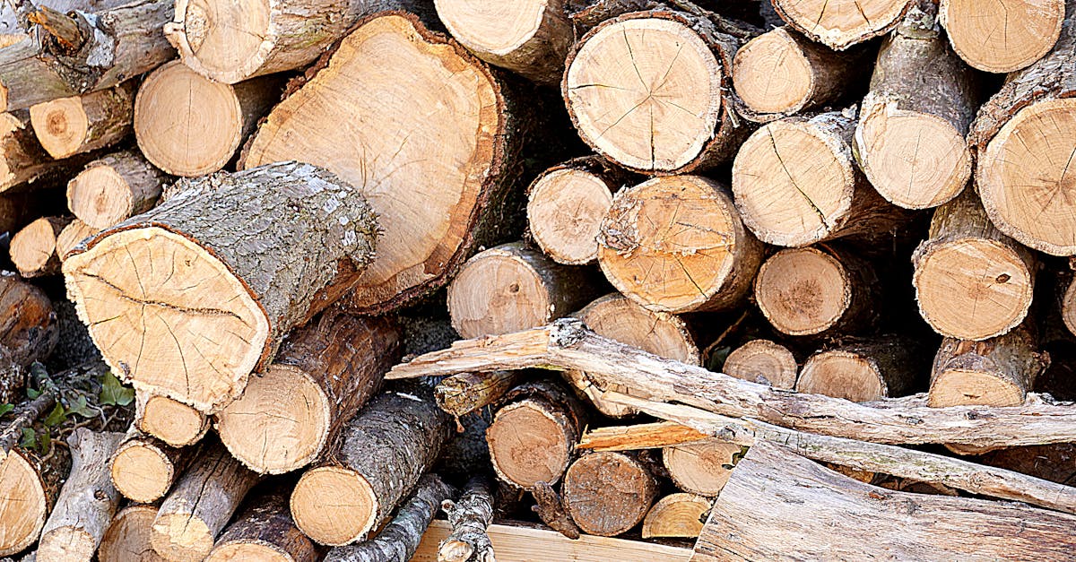 découvrez les principes de la construction durable, une approche respectueuse de l'environnement qui utilise des matériaux écologiques et des méthodes innovantes pour créer des bâtiments à faible impact. adoptez des solutions qui préservent nos ressources pour les générations futures.