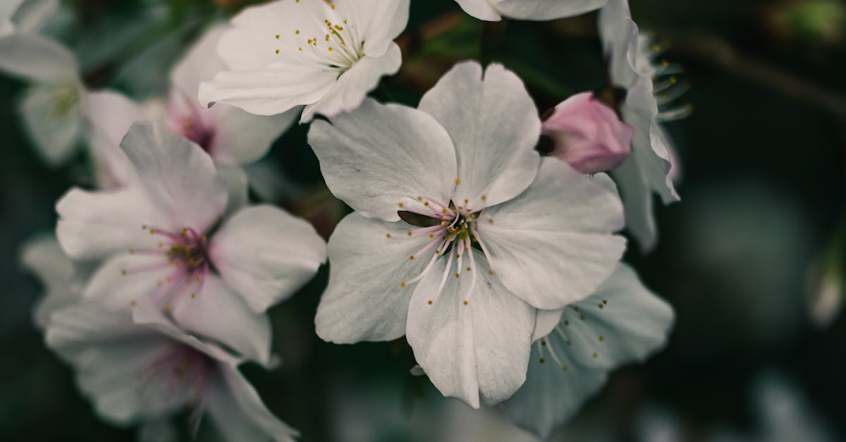 découvrez nos locations saisonnières idéales pour vos vacances. profitez d'un hébergement confortable et chaleureux, situé dans des destinations de rêve. réservez dès maintenant pour un séjour inoubliable !