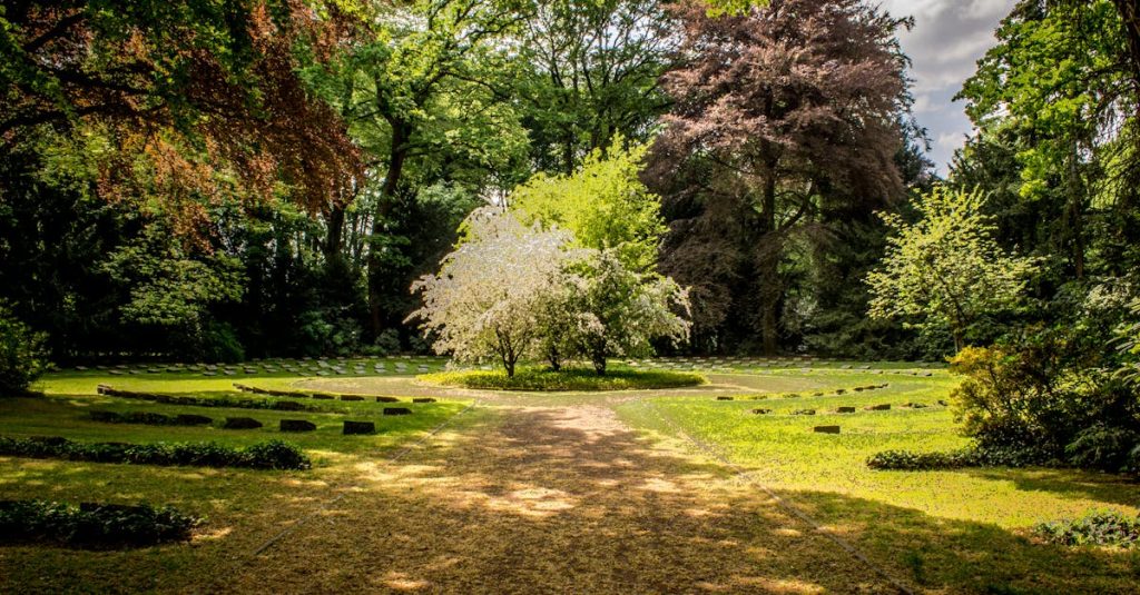 découvrez l'univers enchanteur du jardinage avec nos conseils et astuces pratiques pour créer un espace vert épanouissant. transformez votre extérieur en un havre de paix où flore et faune s'épanouissent en harmonie.