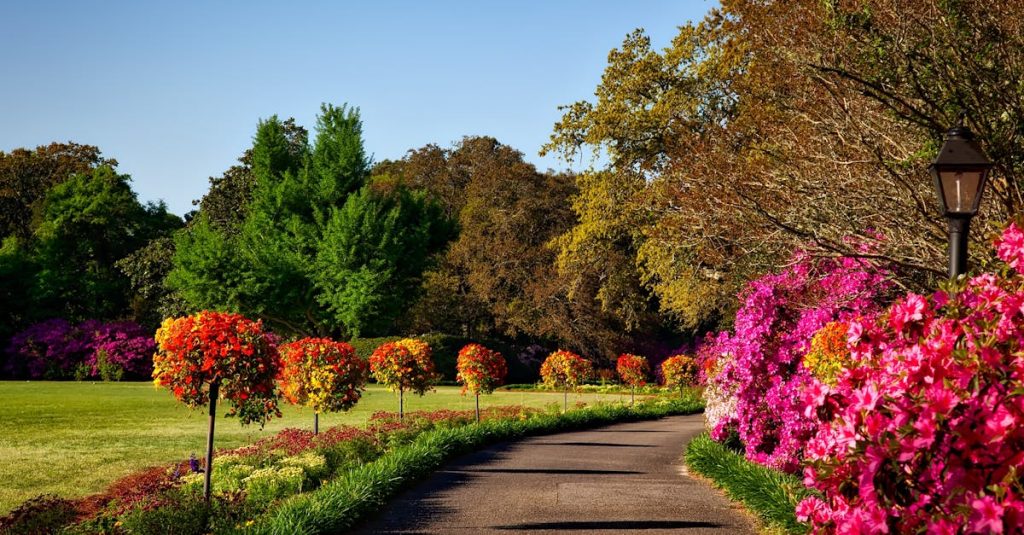 découvrez notre guide complet sur les jardins : conseils de jardinage, idées d'aménagement, plantes à privilégier et astuces pour créer un espace extérieur magnifique et accueillant. transformez votre jardin en un véritable havre de paix.