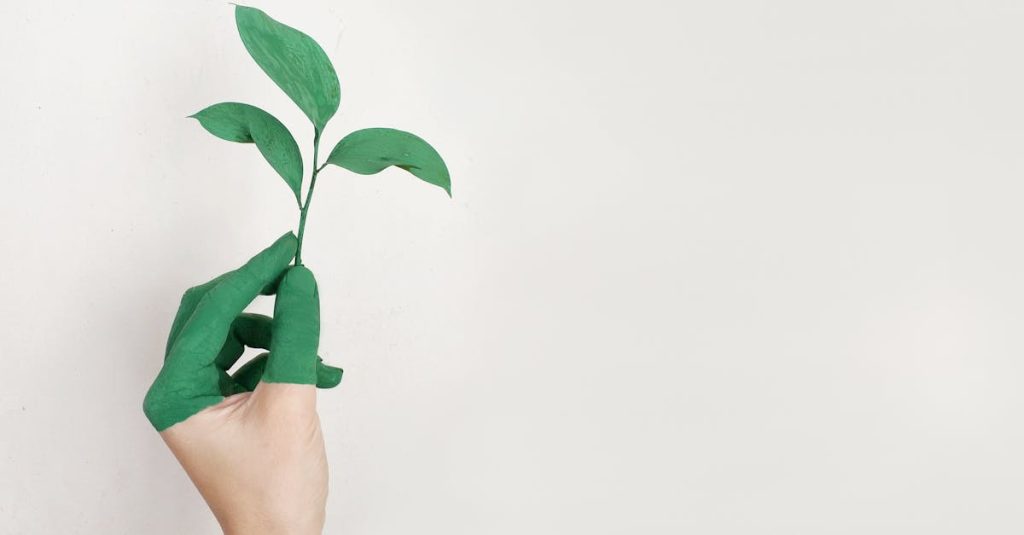découvrez les enjeux et les perspectives du développement durable. explorez des stratégies innovantes et des pratiques respectueuses de l'environnement pour un avenir plus vert et responsable.