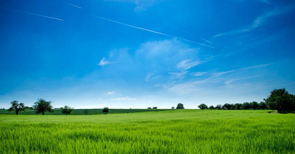 découvrez comment protéger notre planète et promouvoir un développement durable avec des conseils pratiques sur la préservation de l'environnement, la biodiversité et des solutions écologiques.