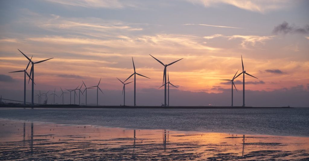 découvrez comment la durabilité transforme notre monde : des pratiques écologiques aux innovations durables, explorez les solutions pour un avenir respectueux de l'environnement.