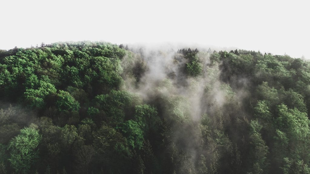 découvrez les enjeux cruciaux de l'environnement, les défis liés à la protection de la planète, ainsi que des solutions durables pour un avenir meilleur. engagez-vous pour la préservation de notre terre et apprenez comment vous pouvez faire la différence!