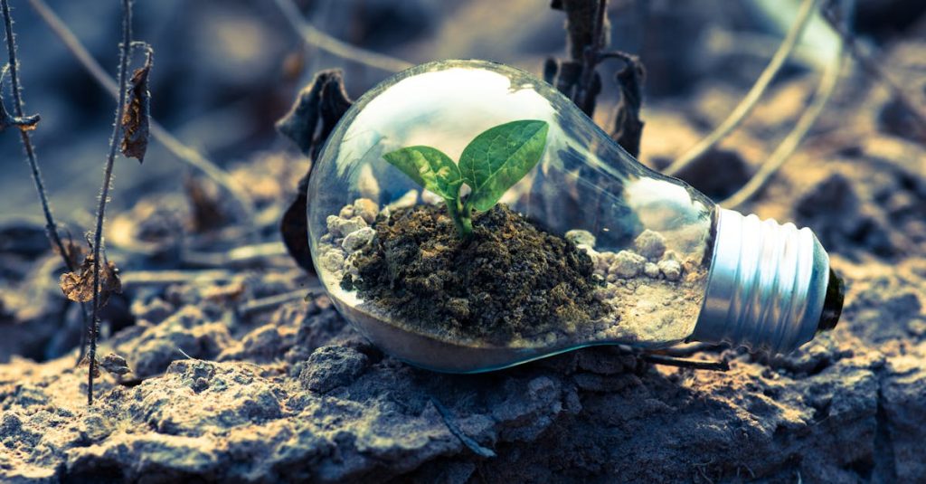 découvrez l'importance de l'environnement et comment protéger notre planète à travers des actions durables. informez-vous sur les enjeux écologiques, les énergies renouvelables et les initiatives locales pour un avenir plus vert.