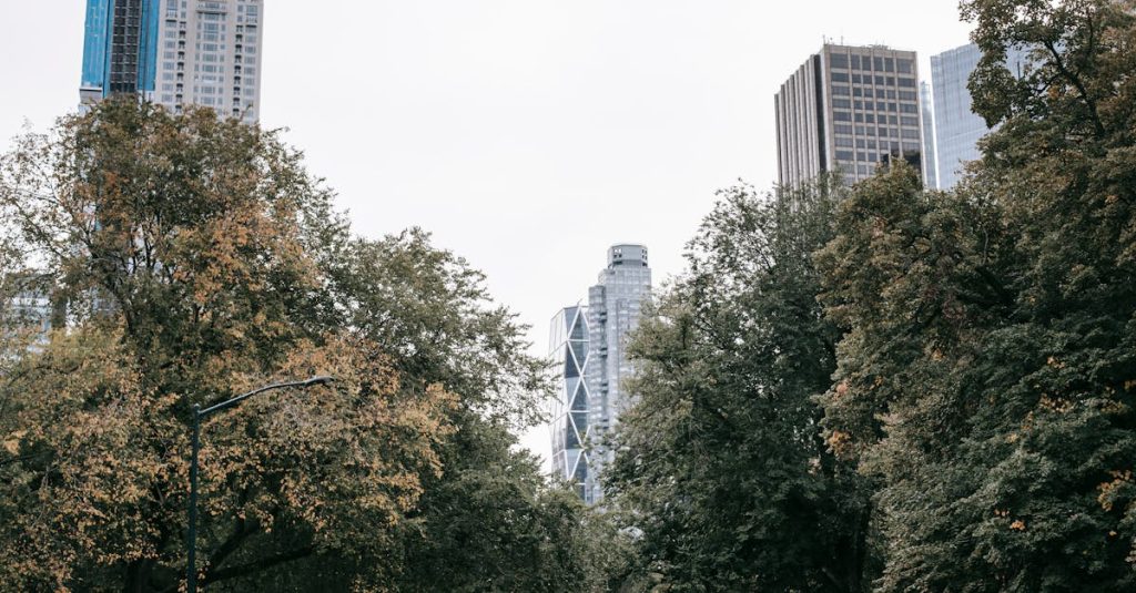découvrez les meilleures solutions de financement immobilier pour réaliser vos projets d'achat ou d'investissement. profitez de conseils experts et d'offres adaptées à vos besoins.