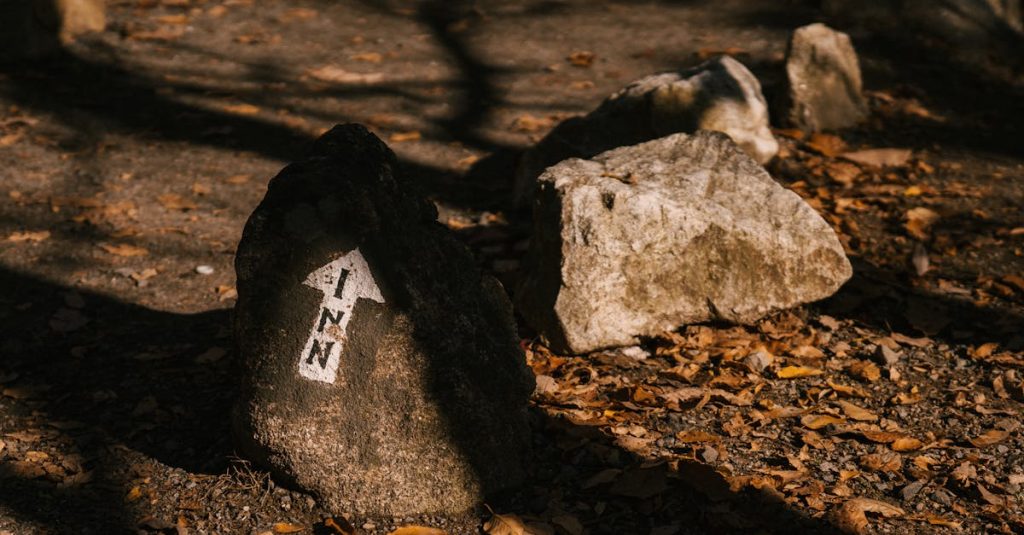 découvrez notre guide complet pour l'achat de terrains en france. obtenez des conseils pratiques, des informations sur la législation et des étapes essentielles pour réussir votre projet d'acquisition foncière.