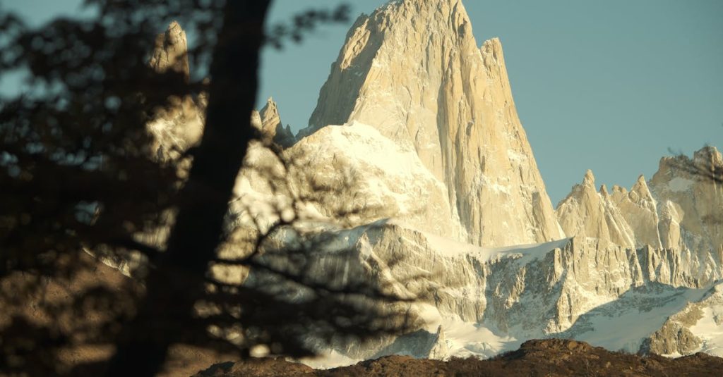 découvrez un environnement protégé qui préserve la biodiversité et offre un refuge pour les espèces menacées. engagez-vous pour la conservation et profitez d'espaces naturels préservés, propices à la découverte et à l'émerveillement.