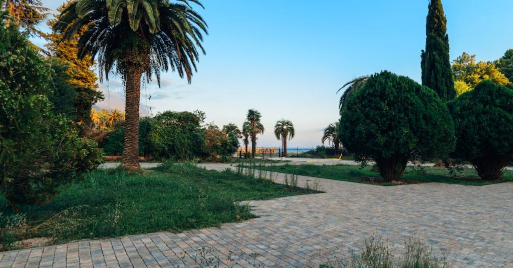 découvrez comment aménager votre espace extérieur pour en faire un véritable havre de paix. que ce soit un jardin, une terrasse ou un balcon, trouvez des idées inspirantes et des conseils pratiques pour profiter pleinement de votre extérieur tout au long de l'année.