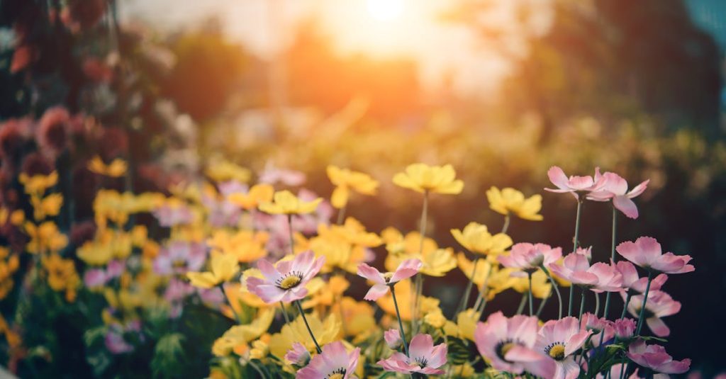 découvrez des conseils et astuces pour aménager et entretenir votre jardin, que ce soit un petit coin de verdure ou un grand espace fleuri. transformez votre extérieur en un havre de paix avec des idées inspirantes et des techniques de jardinage adaptées à tous.