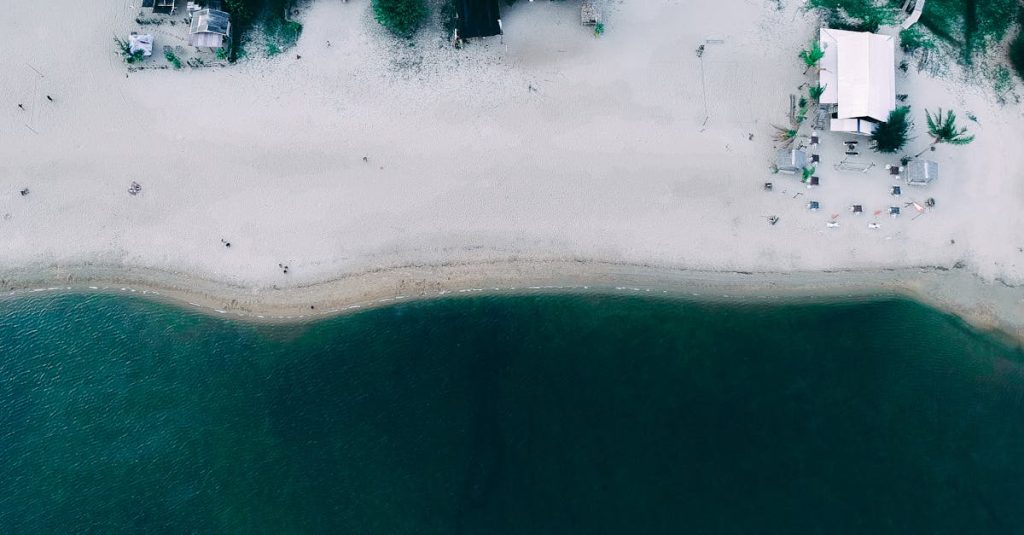 découvrez notre oasis tropicale, un véritable havre de paix où la nature luxuriantes se mêle à des paysages exotiques. profitez d'un séjour relaxant, rythmé par le chant des oiseaux et la douceur des palmiers, pour faire le plein de sérénité et d'évasion.