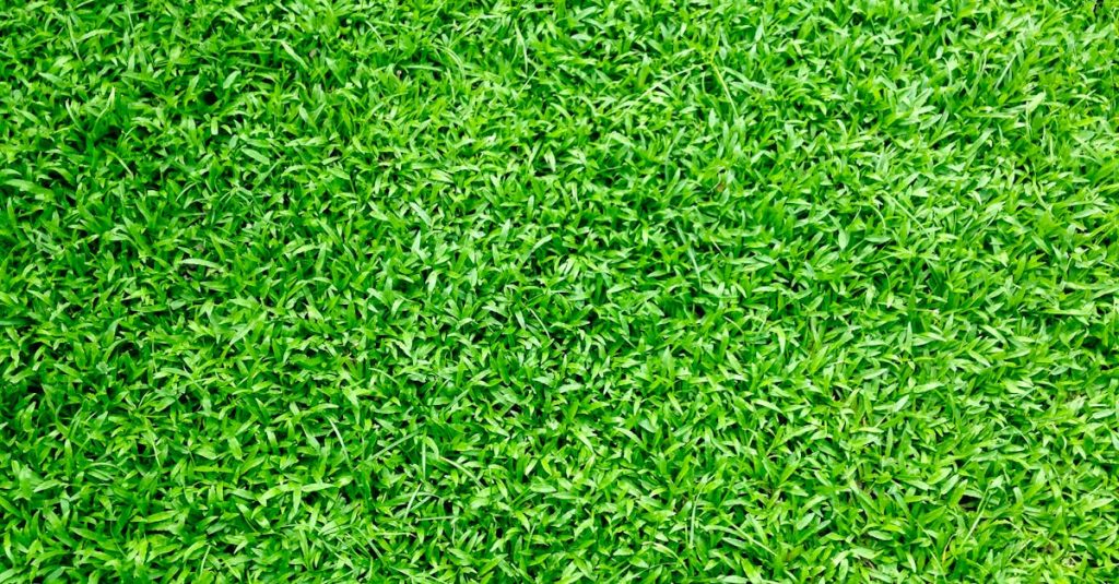 découvrez un espace naturel apaisant et inspirant avec nos conseils pour aménager votre jardin. explorez des idées de plantes, de design et d'entretien pour transformer votre extérieur en un véritable havre de paix.