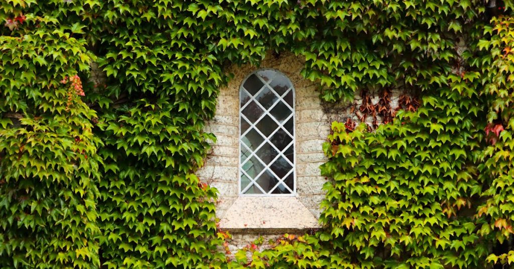 découvrez nos options de location saisonnière pour des vacances inoubliables. profitez d'un hébergement confortable et authentique, adapté à tous vos besoins, que ce soit pour une escapade romantique ou des vacances en famille. réservez votre séjour dès maintenant et vivez des expériences uniques.