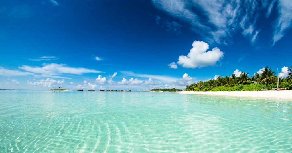 découvrez le paradis avec nos conseils sur les plus belles plages du monde, des activités à faire en bord de mer et des astuces pour profiter au maximum de vos journées ensoleillées.