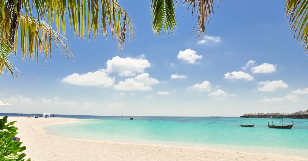 découvrez les plus belles plages du monde, des destinations paradisiaques aux côtes ensoleillées. profitez du sable fin, des eaux turquoises et des activités nautiques pour des vacances inoubliables.