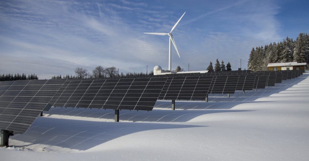découvrez comment intégrer la durabilité dans votre quotidien et contribuer à un avenir plus responsable. explorez des conseils pratiques, des initiatives écologiques et les dernières tendances en matière de développement durable.